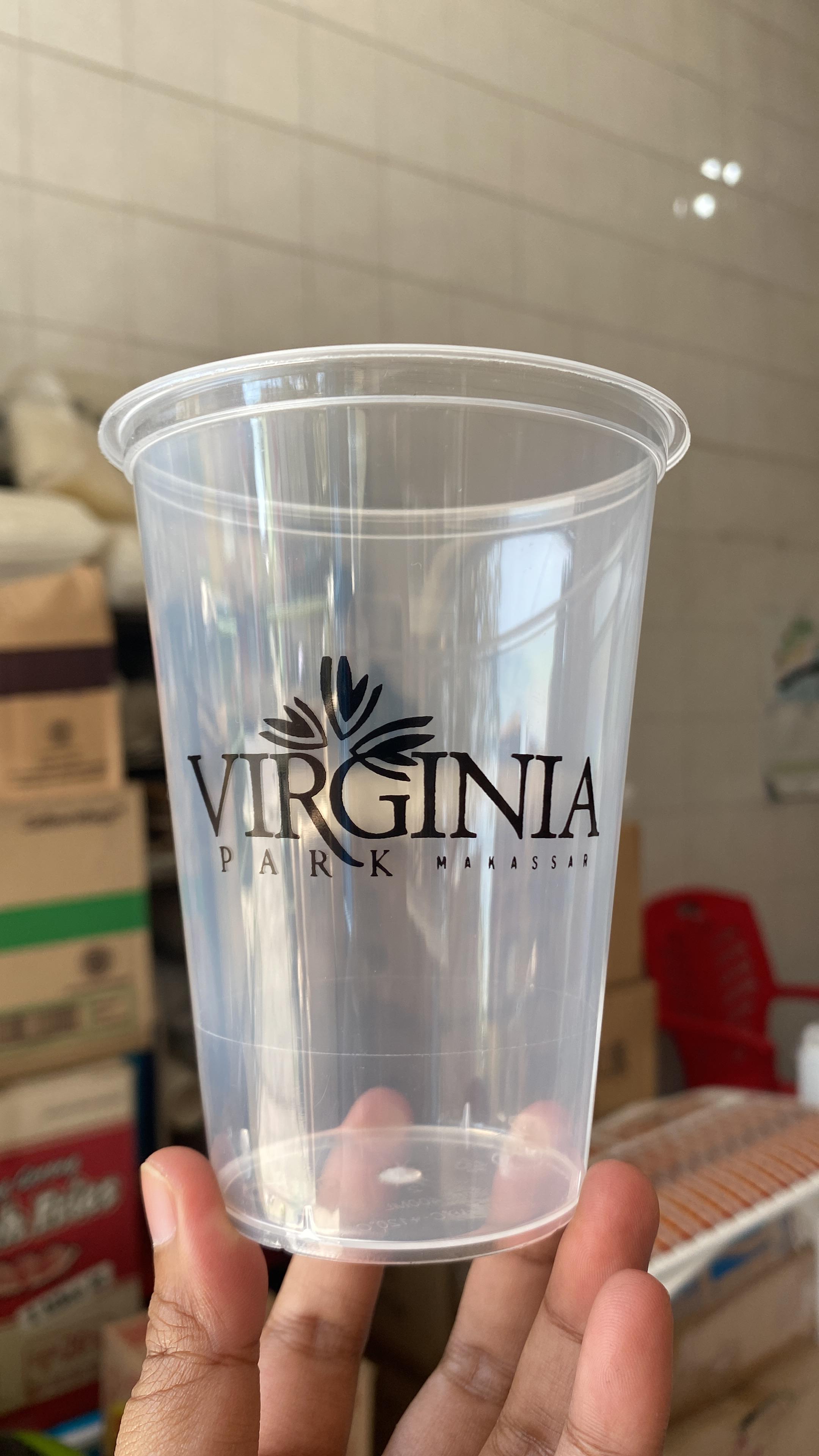 Portofolio Virginia
